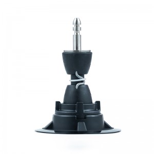 Cơ sở lướt ván